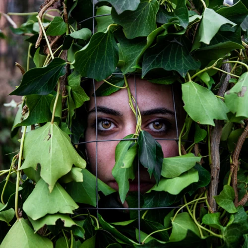 Carnevale di Satriano di Lucania