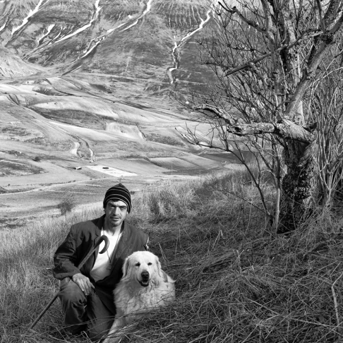 Transumanza a Castelluccio di Norcia